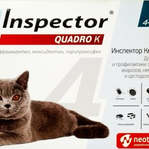 Капли Инспектор Quadro д-кошек 4-8 кг 1пип-упак