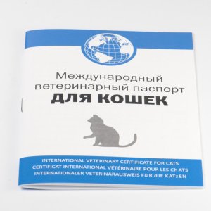 Ветеринарный паспорт для кошек